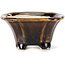 Square brown bonsai pot by Seto - 90 x 90 x 45 mm