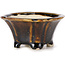 Square brown bonsai pot by Seto - 90 x 90 x 45 mm