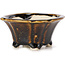 Square brown bonsai pot by Seto - 90 x 90 x 45 mm