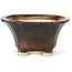 Square brown bonsai pot by Seto - 90 x 90 x 45 mm