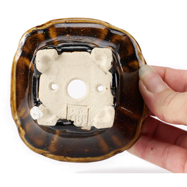 Pot à bonsaï carré marron par Seto - 90 x 90 x 45 mm