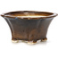 Square brown bonsai pot by Seto - 90 x 90 x 45 mm