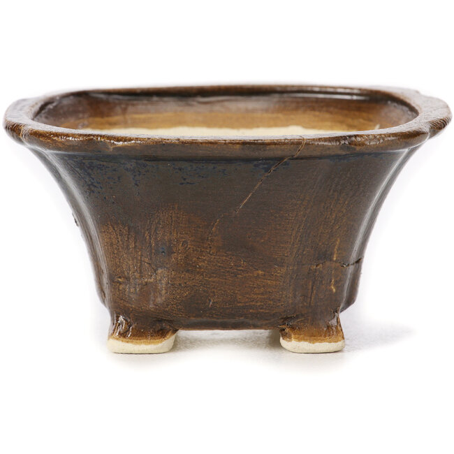 Maceta de bonsái cuadrada marrón de Seto - 90 x 90 x 45 mm