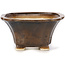 Square brown bonsai pot by Seto - 90 x 90 x 45 mm