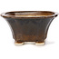 Square brown bonsai pot by Seto - 90 x 90 x 45 mm