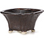 Square brown bonsai pot by Seto - 90 x 90 x 45 mm