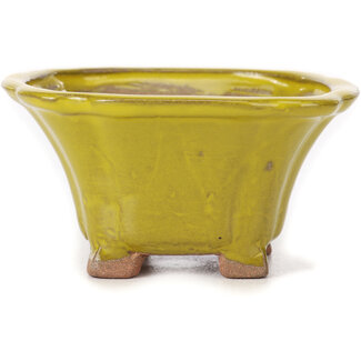 Seto Maceta de bonsái amarilla cuadrada de 90 mm de Seto, Japón