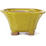 Pot à bonsaï carré jaune par Seto - 90 x 90 x 45 mm