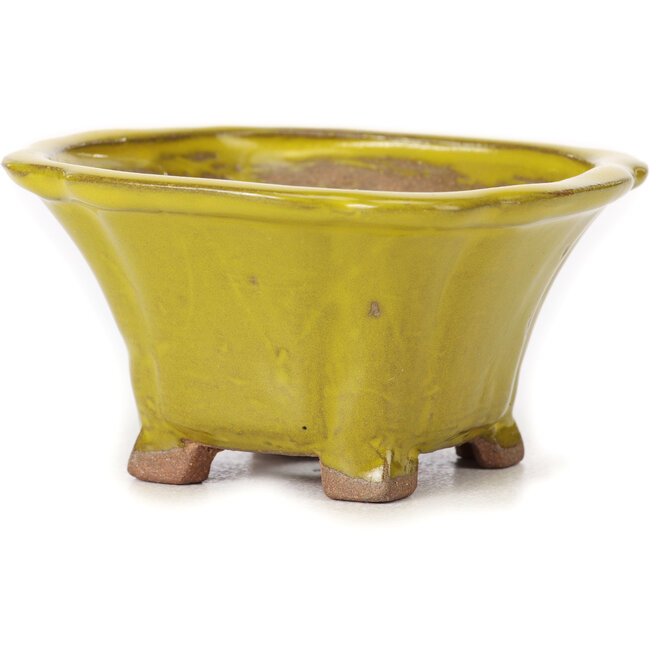 Square yellow bonsai pot by Seto - 90 x 90 x 45 mm