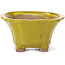 Square yellow bonsai pot by Seto - 90 x 90 x 45 mm