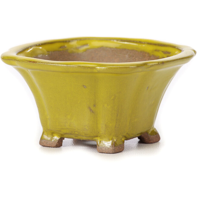 Vaso bonsai quadrato giallo di Seto - 90 x 90 x 45 mm