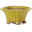 Pot à bonsaï carré jaune par Seto - 90 x 90 x 45 mm