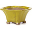 Square yellow bonsai pot by Seto - 90 x 90 x 45 mm