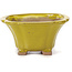 Pot à bonsaï carré jaune par Seto - 90 x 90 x 45 mm