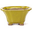 Square yellow bonsai pot by Seto - 90 x 90 x 45 mm