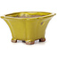 Square yellow bonsai pot by Seto - 90 x 90 x 45 mm