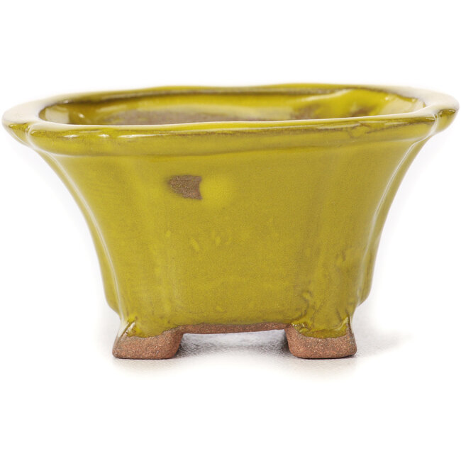 Quadratische gelbe Bonsaischale von Seto - 90 x 90 x 45 mm