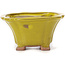 Square yellow bonsai pot by Seto - 90 x 90 x 45 mm