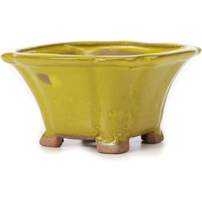 Square yellow bonsai pot by Seto - 90 x 90 x 45 mm