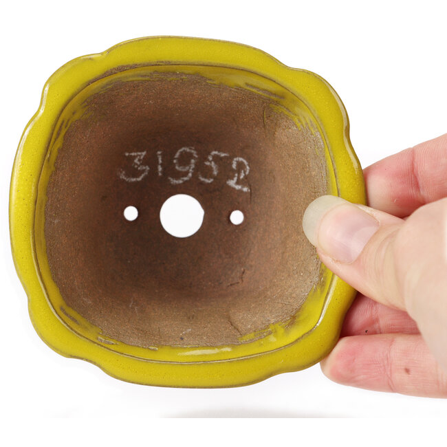 Vaso bonsai quadrato giallo di Seto - 90 x 90 x 45 mm
