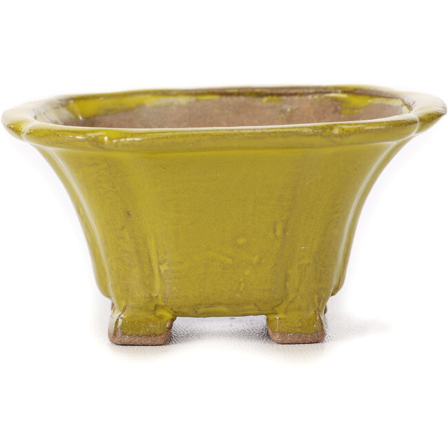 Pot à bonsaï carré jaune par Seto - 90 x 90 x 50 mm