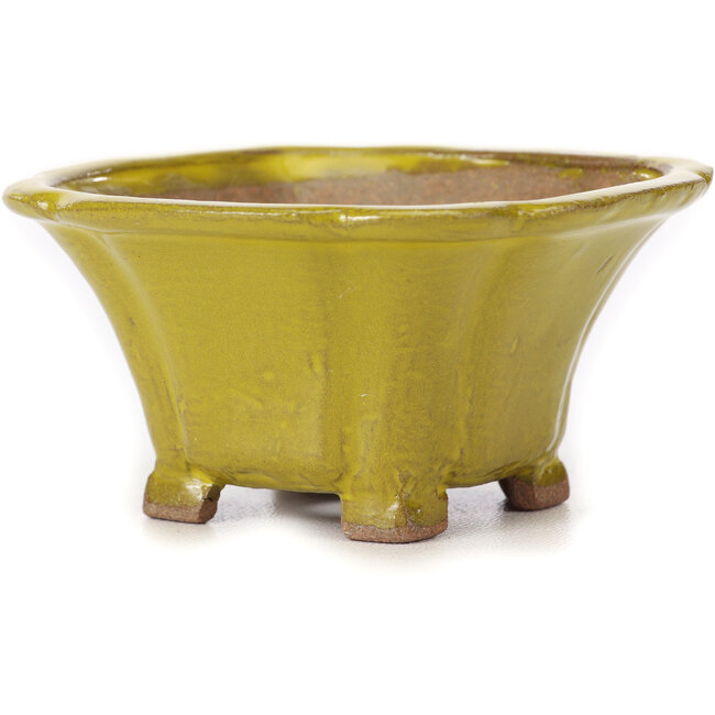 Maceta de bonsái amarilla cuadrada de Seto - 90 x 90 x 50 mm