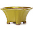 Square yellow bonsai pot by Seto - 90 x 90 x 50 mm