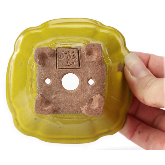 Vierkante gele bonsaipot van Seto - 90 x 90 x 45 mm