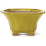 Pot à bonsaï carré jaune par Seto - 90 x 90 x 50 mm