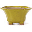 Square yellow bonsai pot by Seto - 90 x 90 x 50 mm