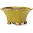 Pot à bonsaï carré jaune par Seto - 90 x 90 x 50 mm