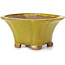 Square yellow bonsai pot by Seto - 90 x 90 x 50 mm