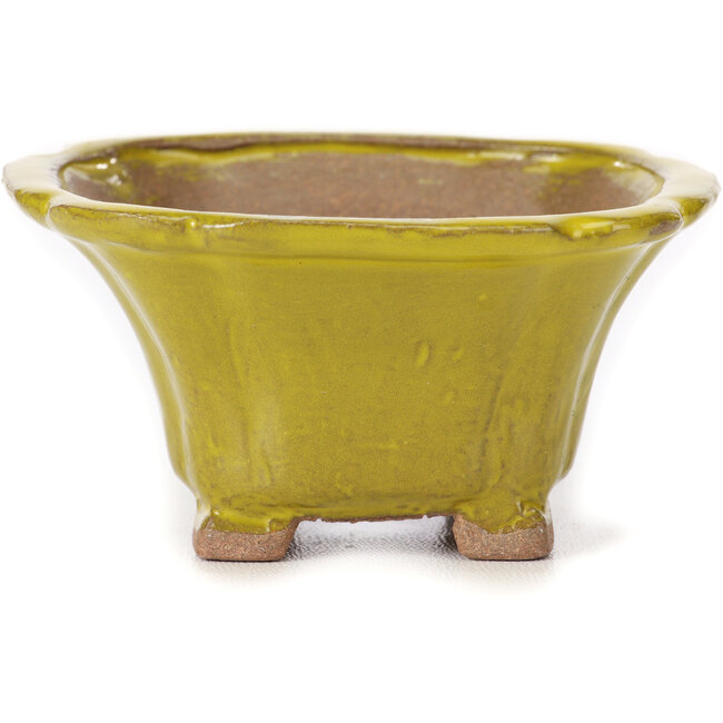 Square yellow bonsai pot by Seto - 90 x 90 x 50 mm