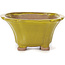 Square yellow bonsai pot by Seto - 90 x 90 x 50 mm