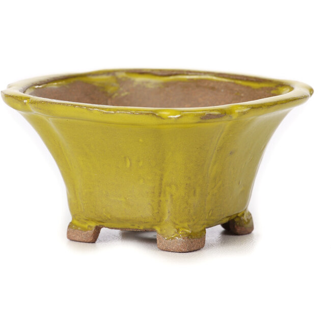 Pot à bonsaï carré jaune par Seto - 90 x 90 x 50 mm