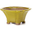 Square yellow bonsai pot by Seto - 90 x 90 x 50 mm