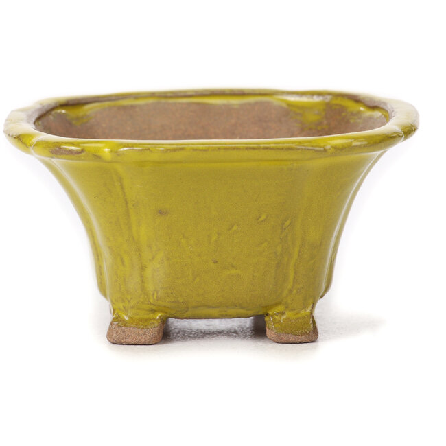 Pot à bonsaï carré jaune par Seto - 90 x 90 x 50 mm