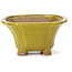 Pot à bonsaï carré jaune par Seto - 90 x 90 x 50 mm