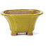 Square yellow bonsai pot by Seto - 90 x 90 x 50 mm