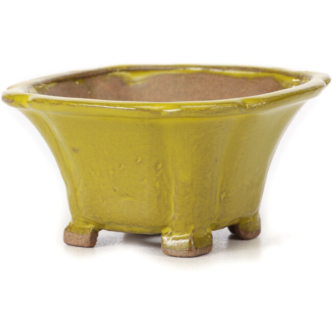 Vaso bonsai quadrato giallo di Seto - 90 x 90 x 50 mm