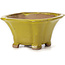 Square yellow bonsai pot by Seto - 90 x 90 x 50 mm