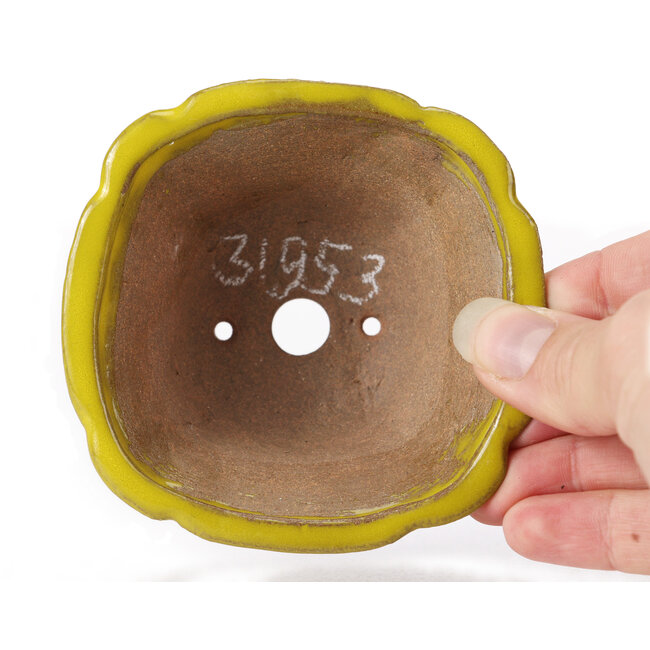 Pot à bonsaï carré jaune par Seto - 90 x 90 x 50 mm
