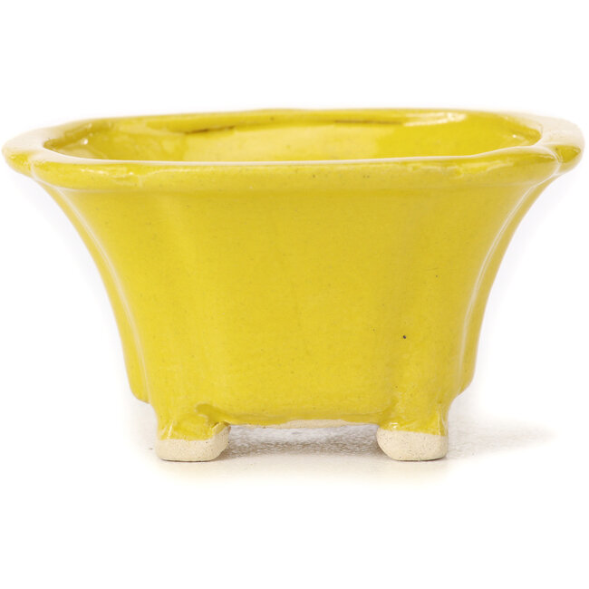 Square yellow bonsai pot by Seto - 90 x 90 x 45 mm