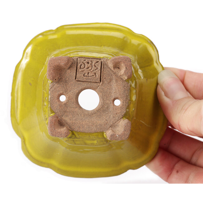 Vaso bonsai quadrato giallo di Seto - 90 x 90 x 50 mm