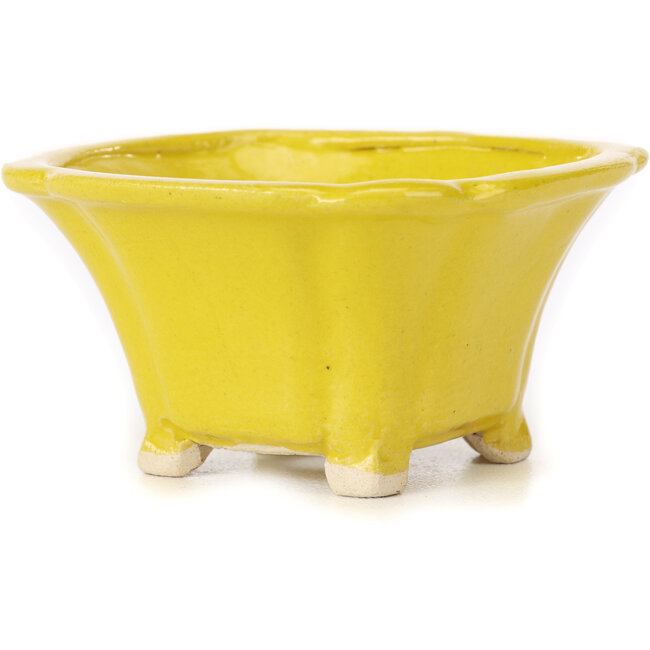 Vaso bonsai quadrato giallo di Seto - 90 x 90 x 45 mm