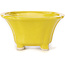 Square yellow bonsai pot by Seto - 90 x 90 x 45 mm