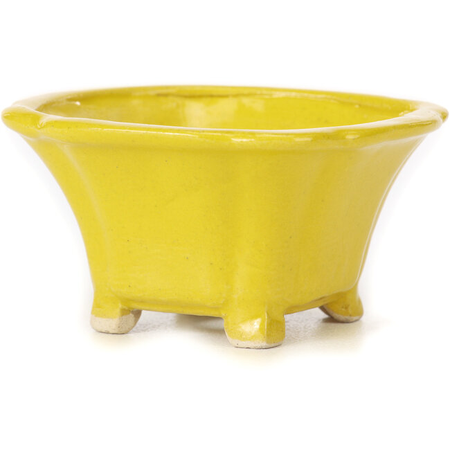 Pot à bonsaï carré jaune par Seto - 90 x 90 x 45 mm