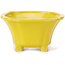 Square yellow bonsai pot by Seto - 90 x 90 x 45 mm