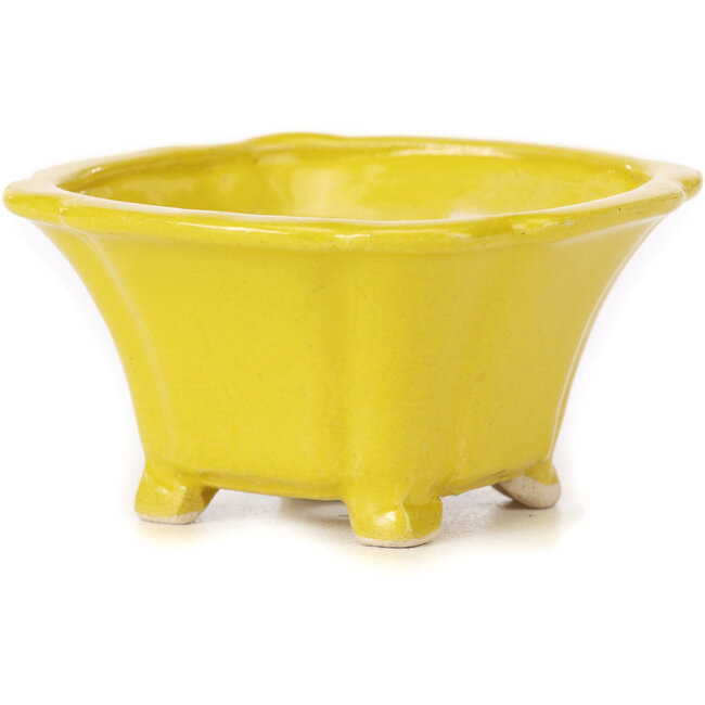 Vierkante gele bonsaipot van Seto - 90 x 90 x 45 mm