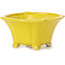 Pot à bonsaï carré jaune par Seto - 90 x 90 x 45 mm